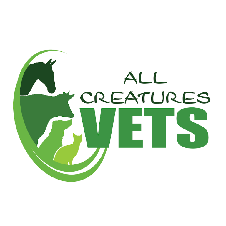 All Creatures Vet Group – Cootehill Branch