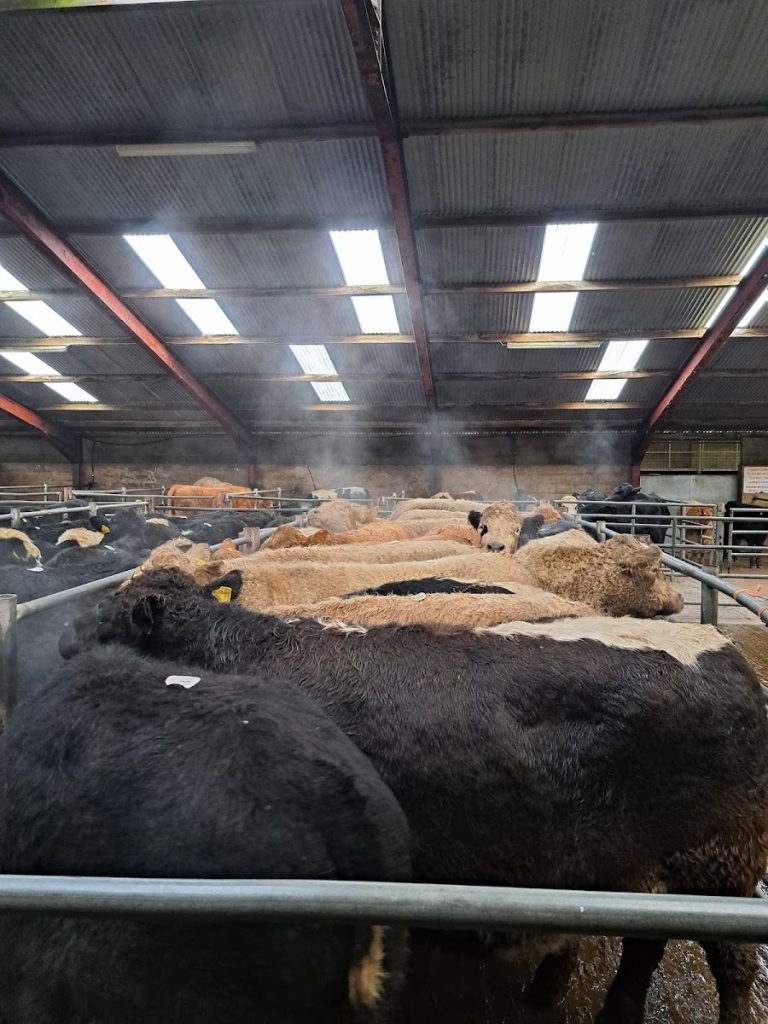 Ballyjamesduff Co Operative Livestock Mart Limited