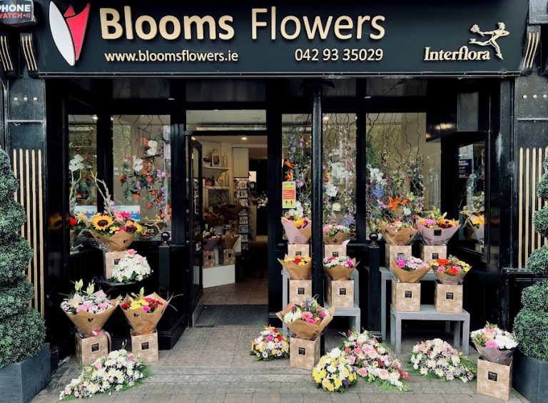 Blooms Flowers