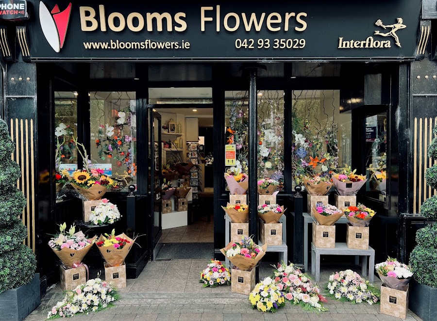 Blooms Flowers