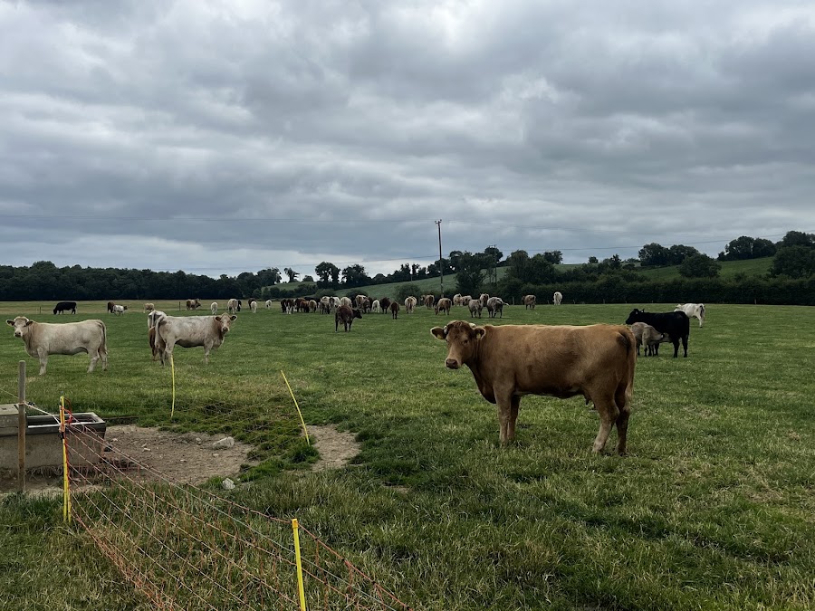 Farm Tours Ireland