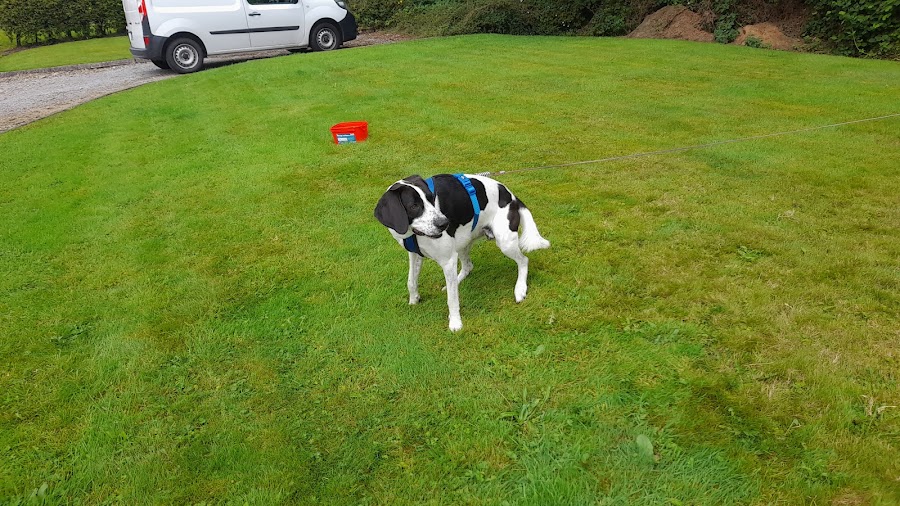 McGoverns Veterinary Surgery