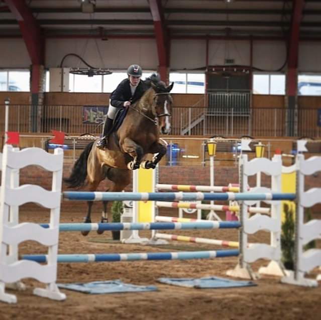 NKC Sporthorses
