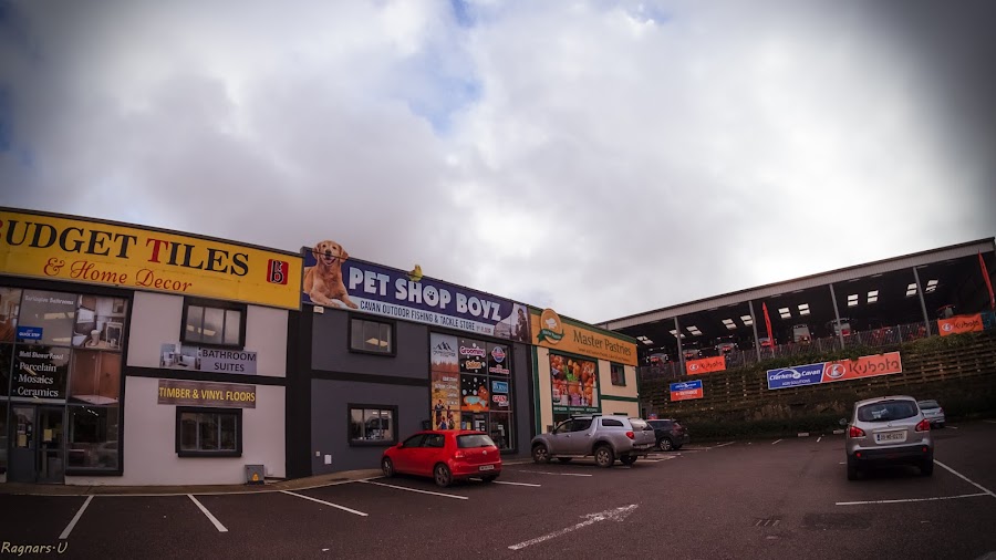 Pet Shop Boyz Cavan