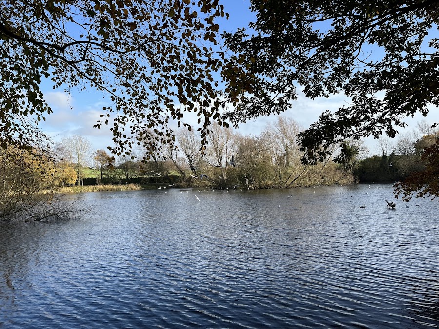 Stephenstown Pond