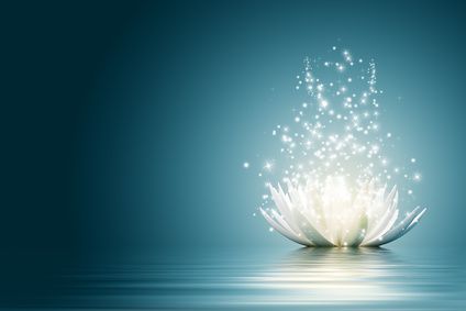 The Divine Wellness Studio