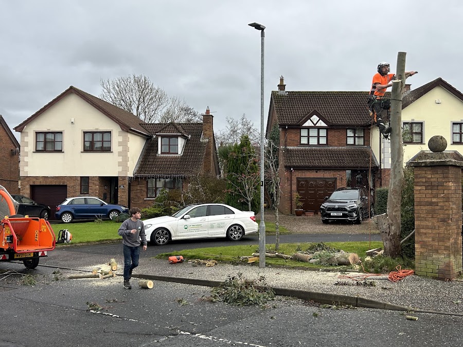 AJM Tree Surgery & Landscaping Ltd