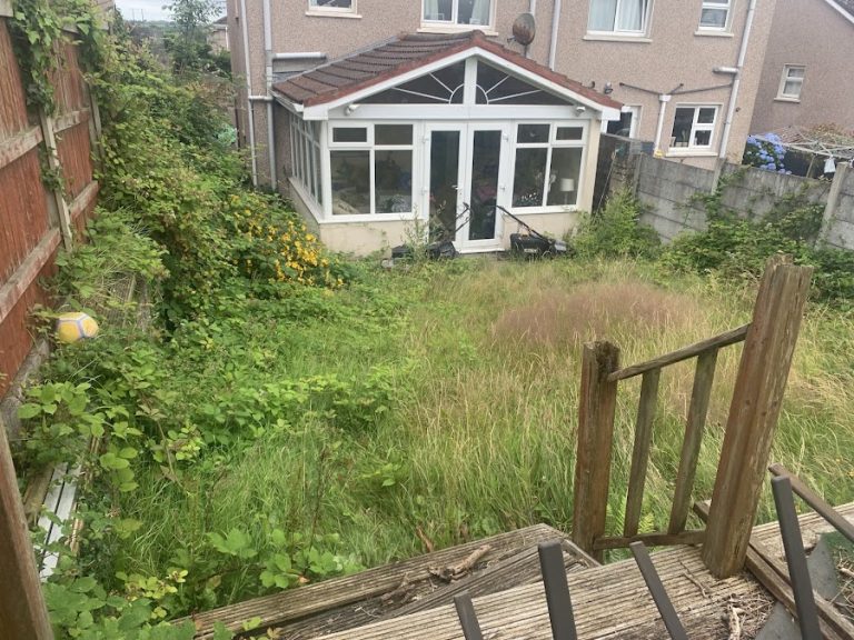 Albi power washing service