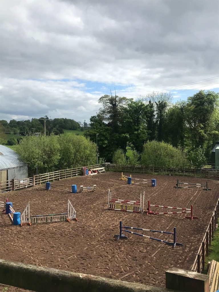 Aldertree Equine