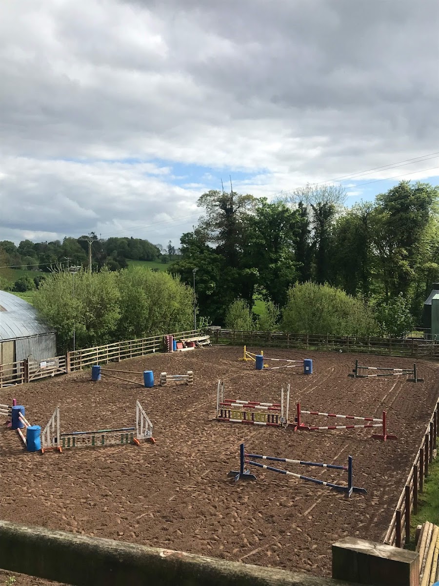 Aldertree Equine
