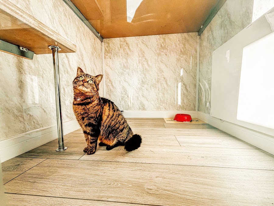 Alley Kat Hotel