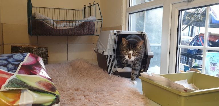 Amandas Kennels and cattery