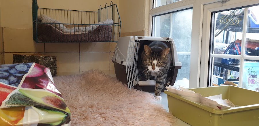 Amandas Kennels and cattery
