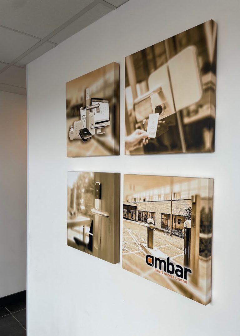 Ambar Systems Ltd