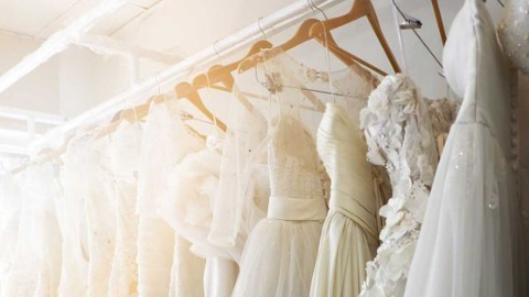 Amsha Bridal