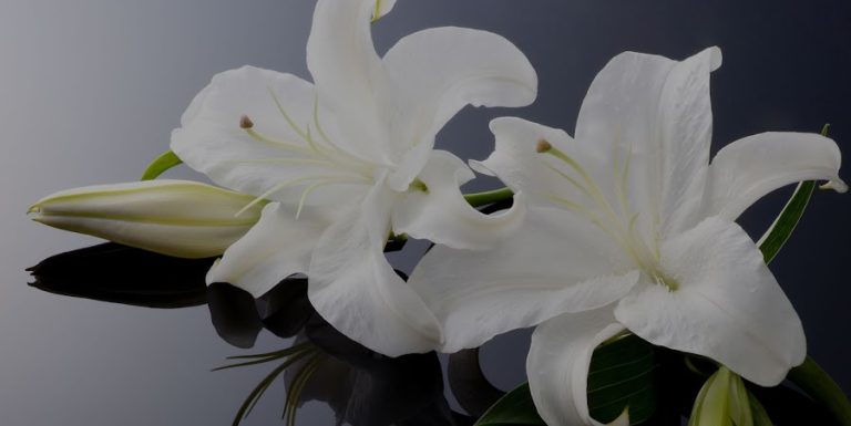 Armstrong Funeral Directors and Memorials