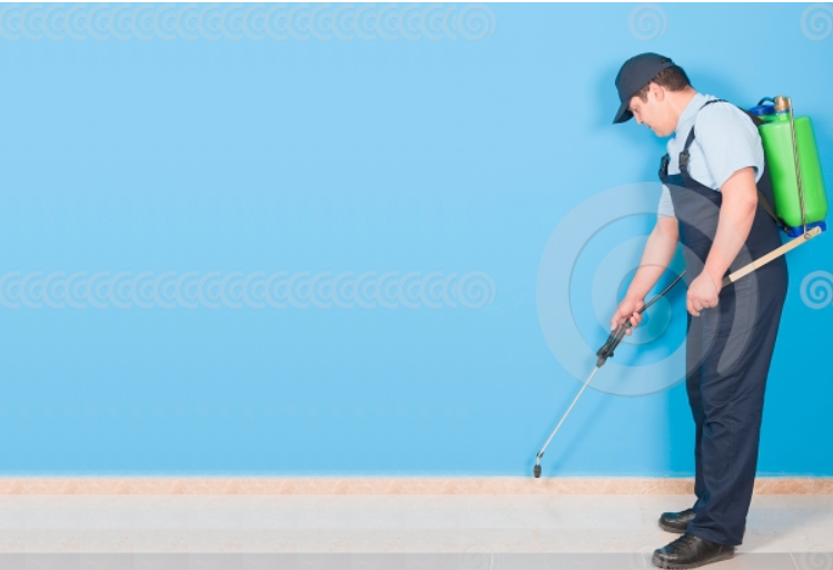 Arrow Pest Control