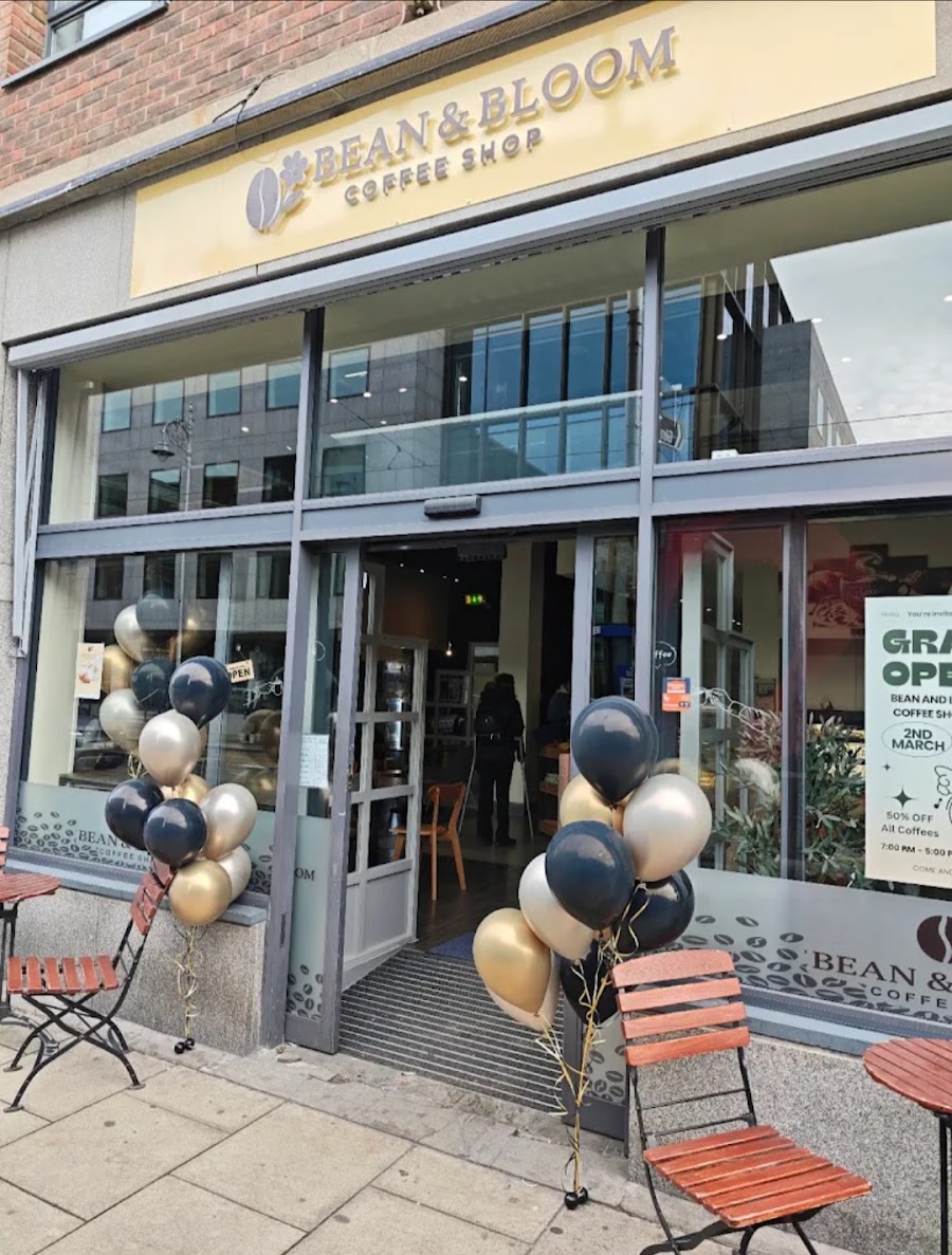 BalloonFactory.ie