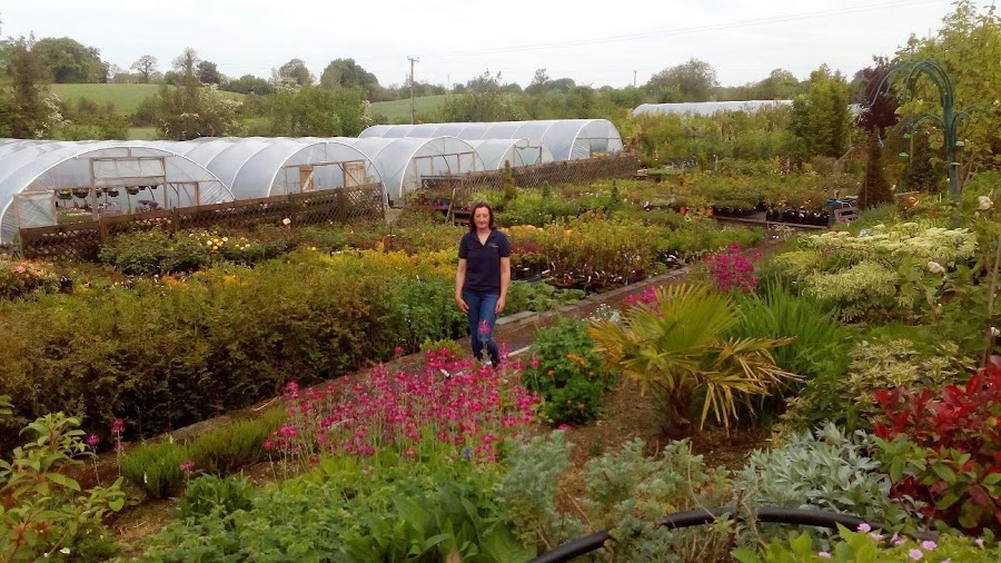 Ballybufey Gardening