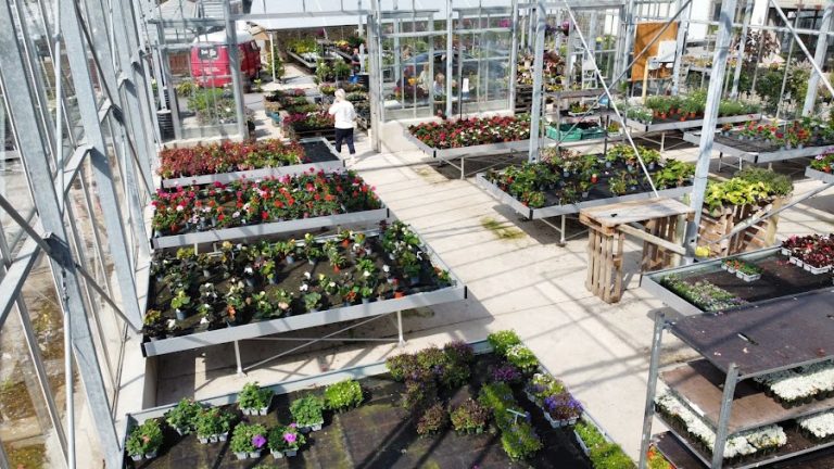 Ballynahone Nurseries
