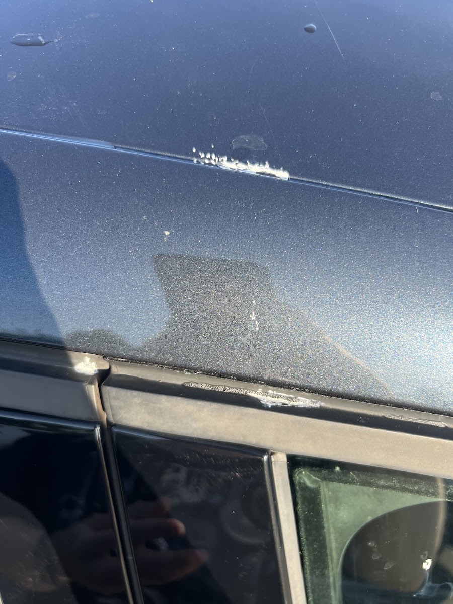 Balticom Hand Car Wash
