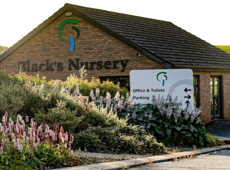 Blacks Nursery