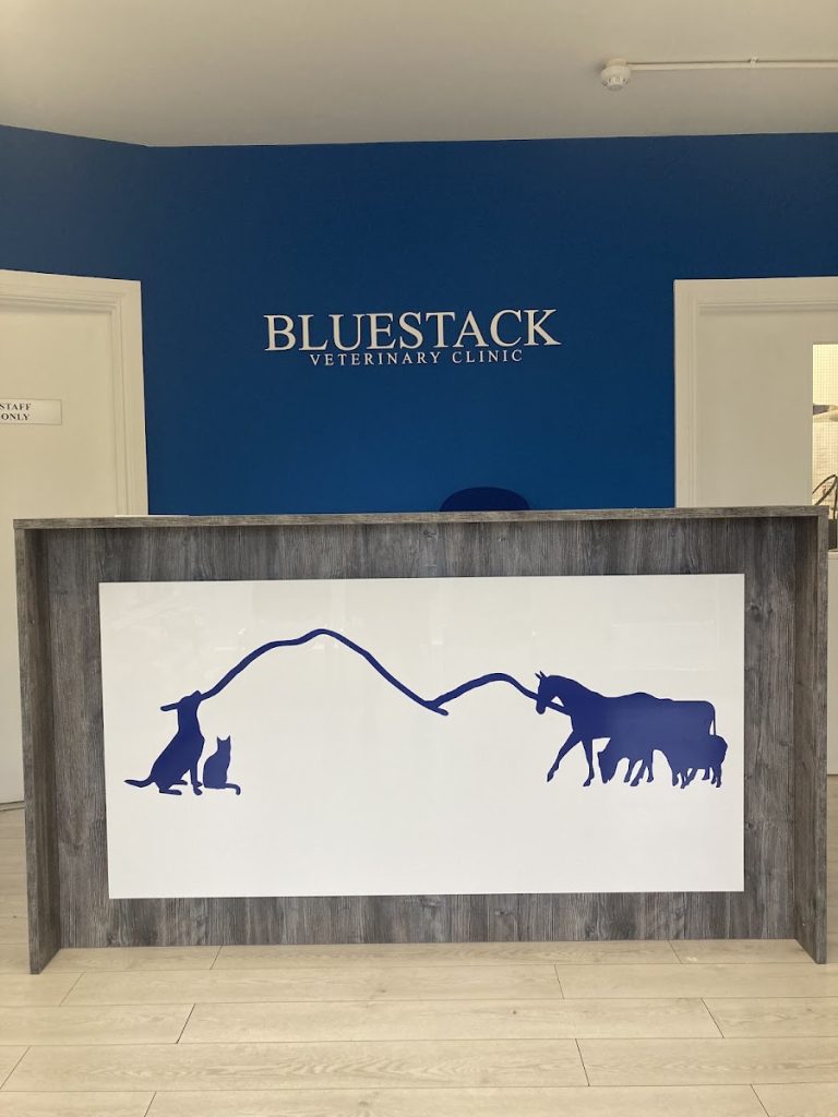 Bluestack Veterinary Clinic – Donegal Town