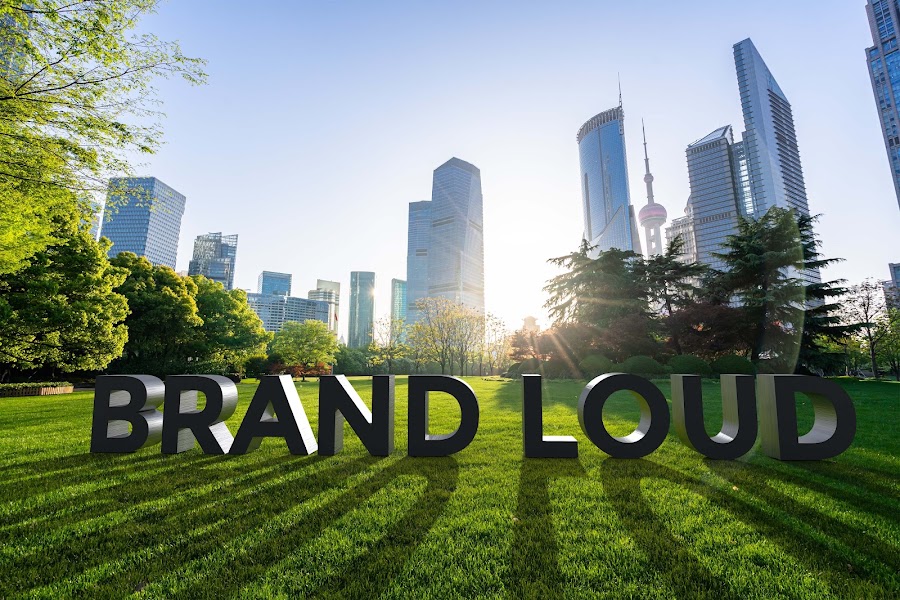 Brand Loud Web Designer, Graphic Designer Dundalk