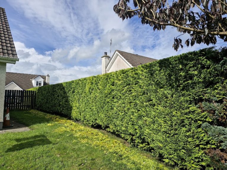 CD Garden Care