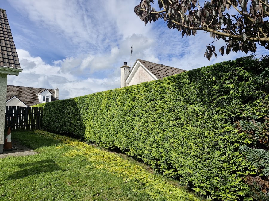 CD Garden Care