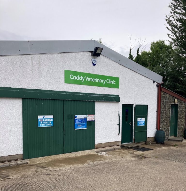 Caddy Veterinary Clinic