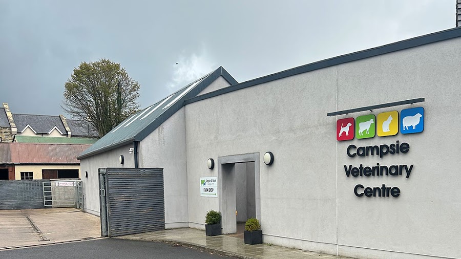 Campsie Veterinary Centre – Omagh