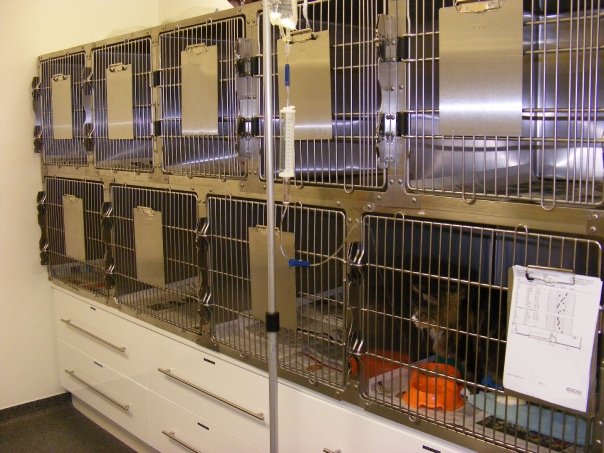 Cara Veterinary Hospital | Blanchardstown Vet | Dublin 15 | Cara Veterinary Group