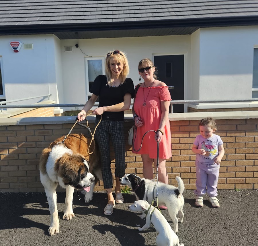 Carrick on Shannon Veterinary Clinic