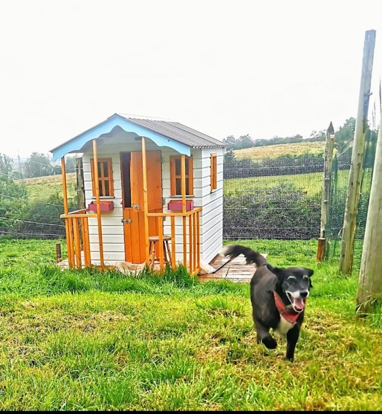 Cavan Dog Boarding Kennels