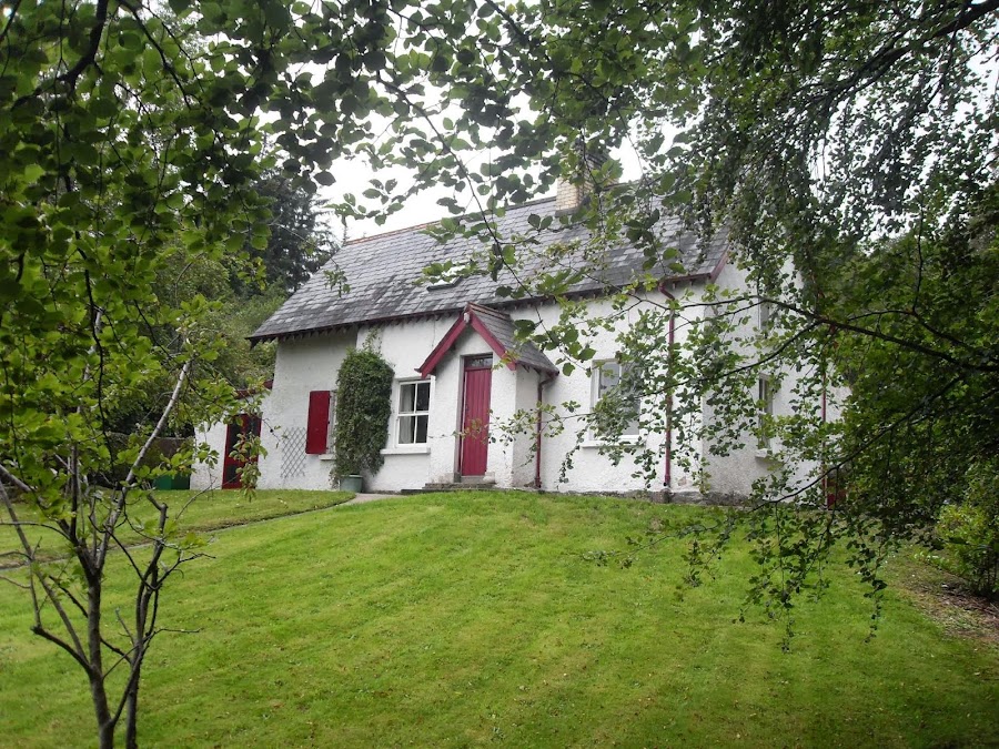 Ceol na Coille – School of Irish Traditional Music