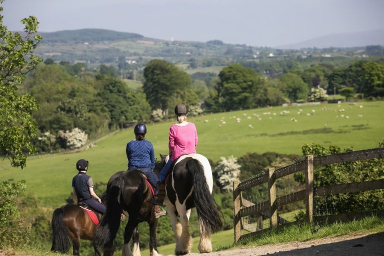 City Of Derry Farm and Equestrian Centre