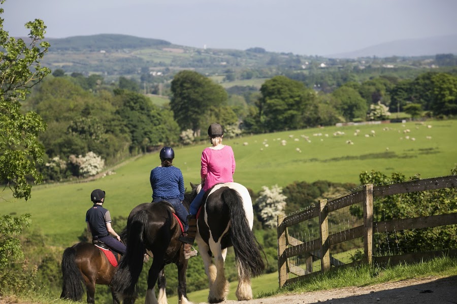 City Of Derry Farm and Equestrian Centre