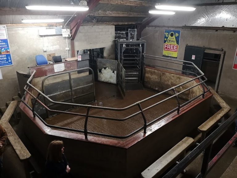 Clogher Mart