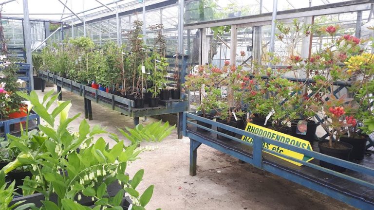 Cooper’s Lane Garden Centre – LIMAVADY