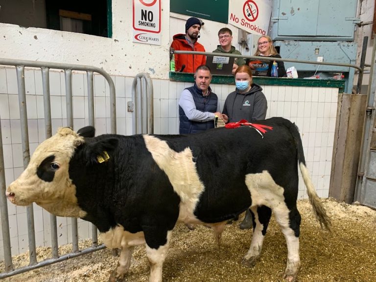 Cork Co-Operative Marts Limited