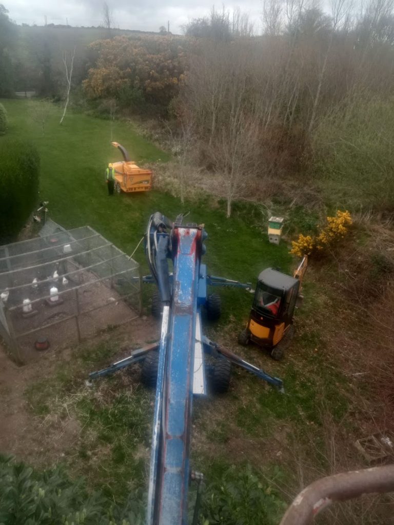 Cork Tree Surgeons