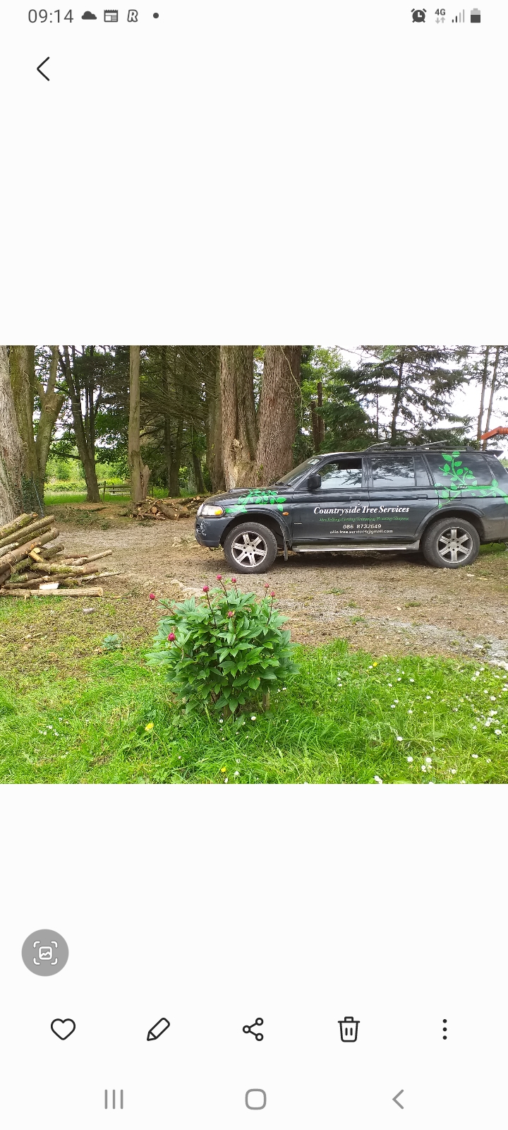 Countryside Tree Services