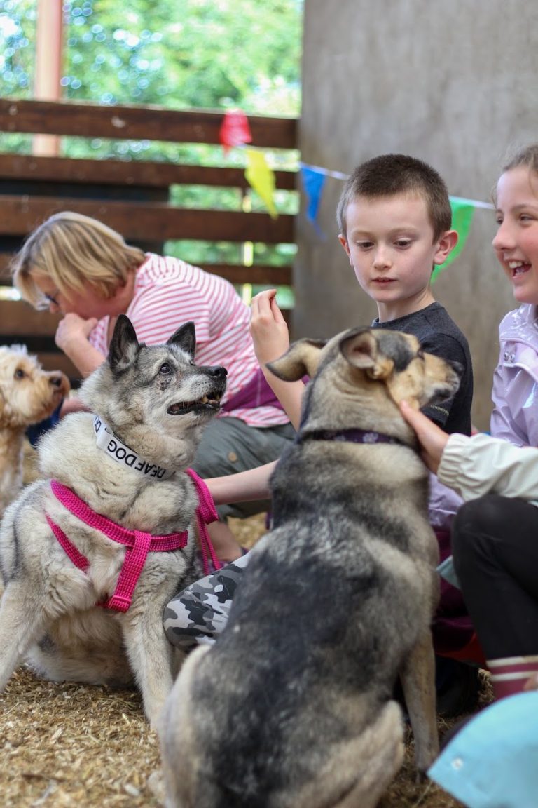 Crosskennan Lane Animal Sanctuary