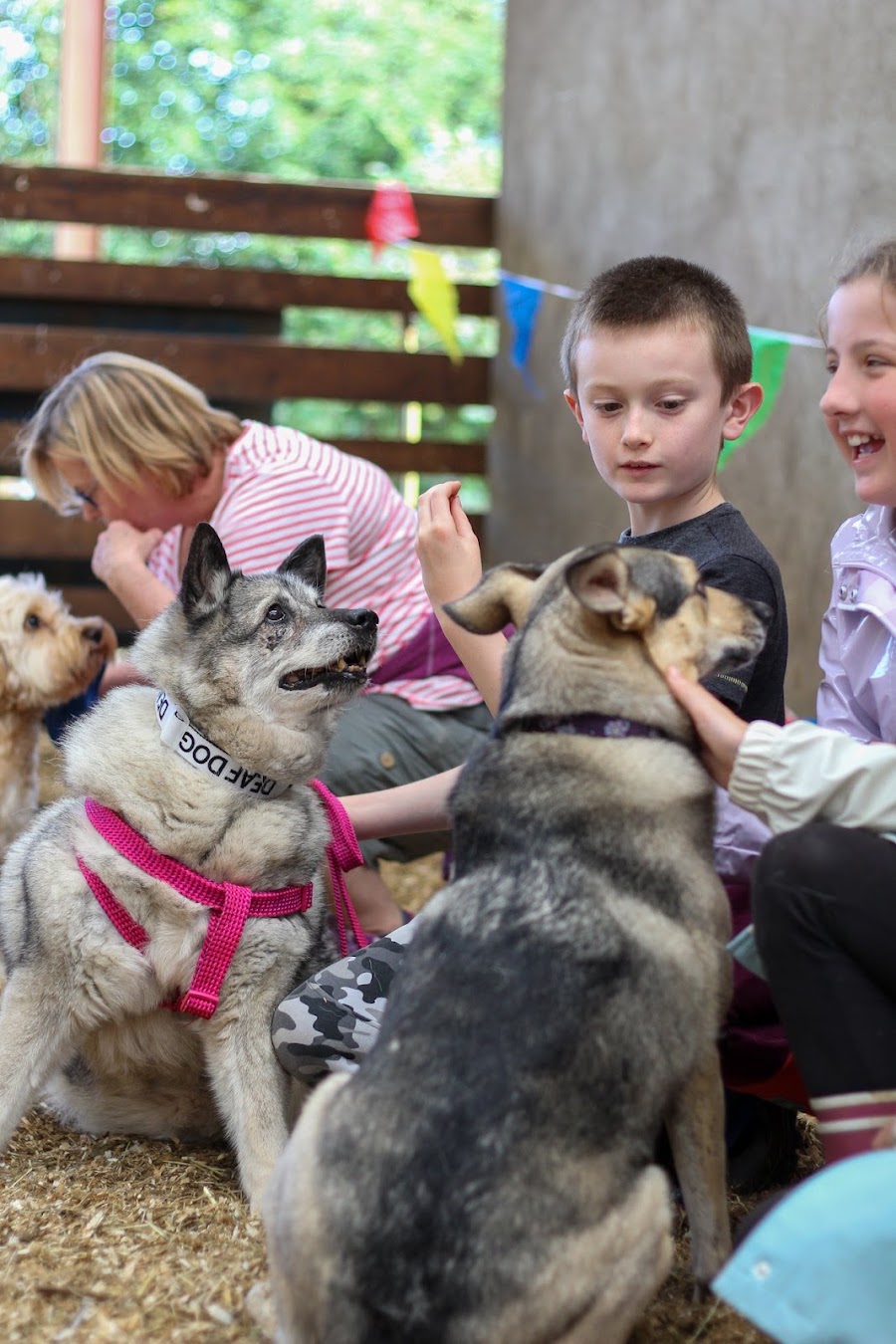 Crosskennan Lane Animal Sanctuary