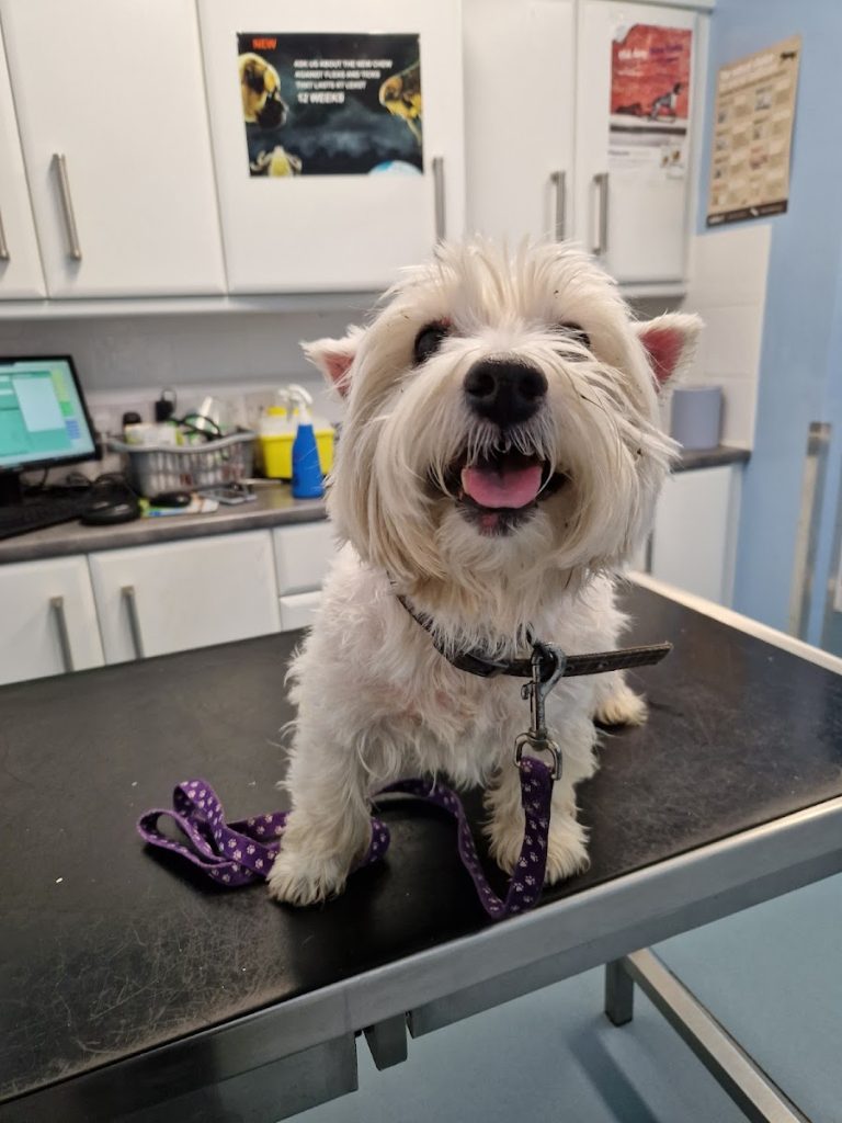 Crowe’s Veterinary Clinic