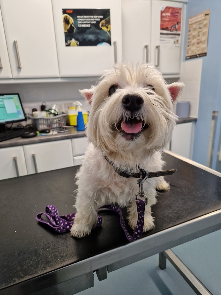 Crowe’s Veterinary Clinic