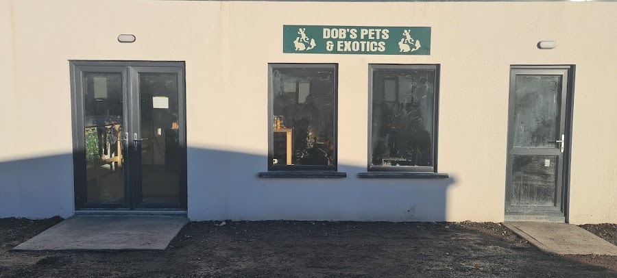 DOB’s Pets & Exotics