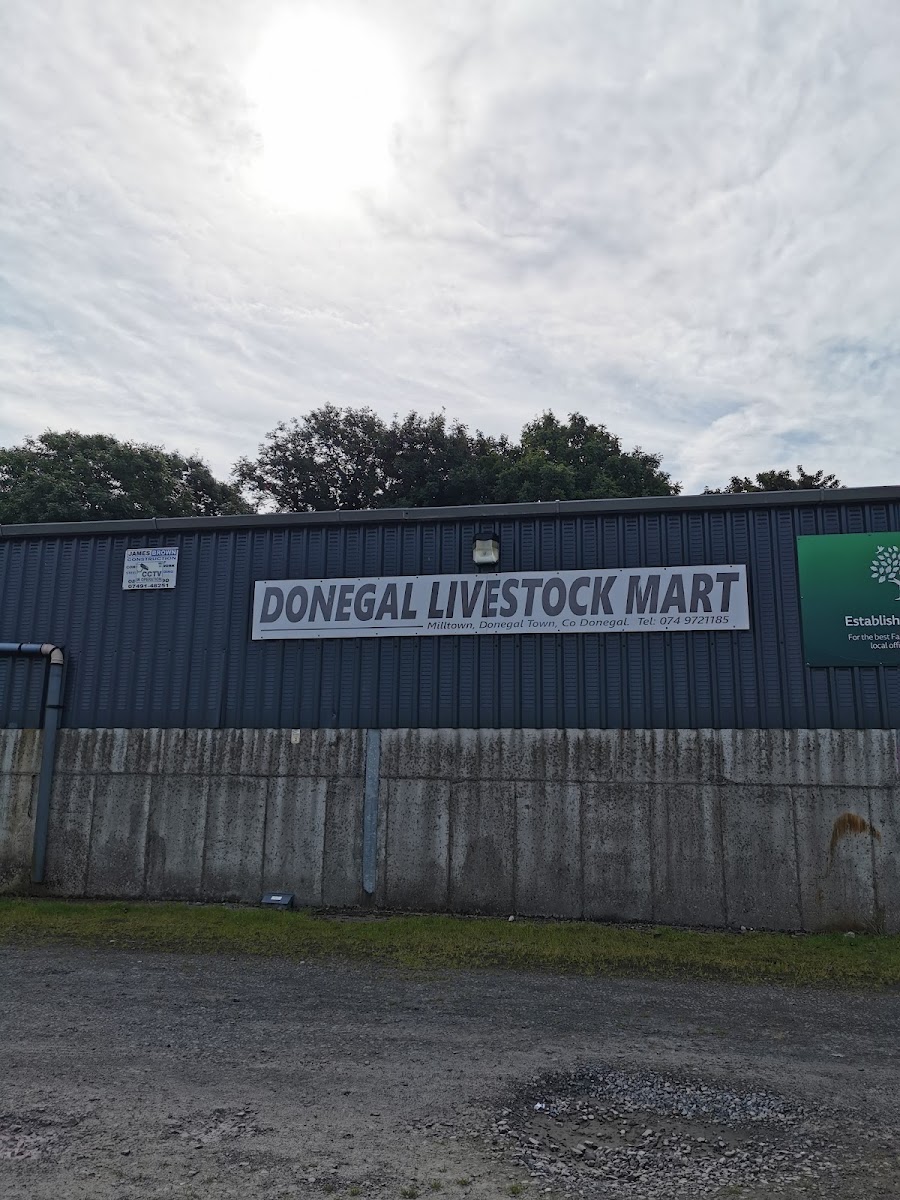 Donegal Livestock mart