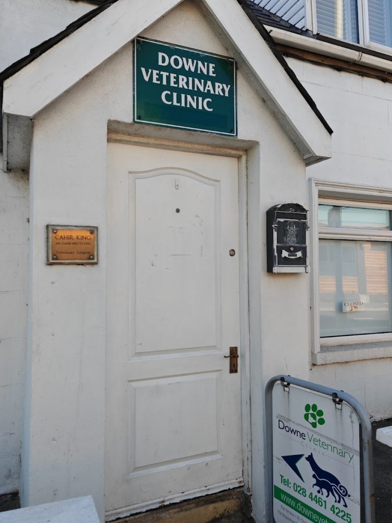Downe Veterinary Clinic
